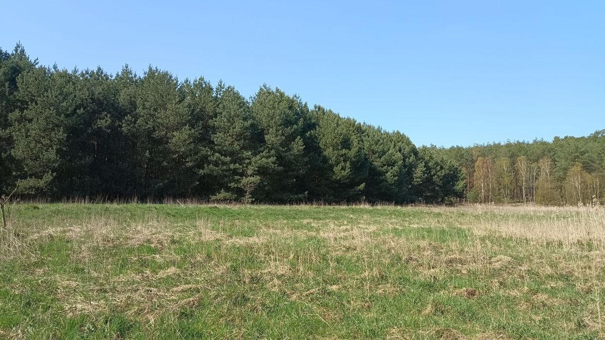 Działka rekreacyjna na sprzedaż Silna, Silna  2 397m2 Foto 1