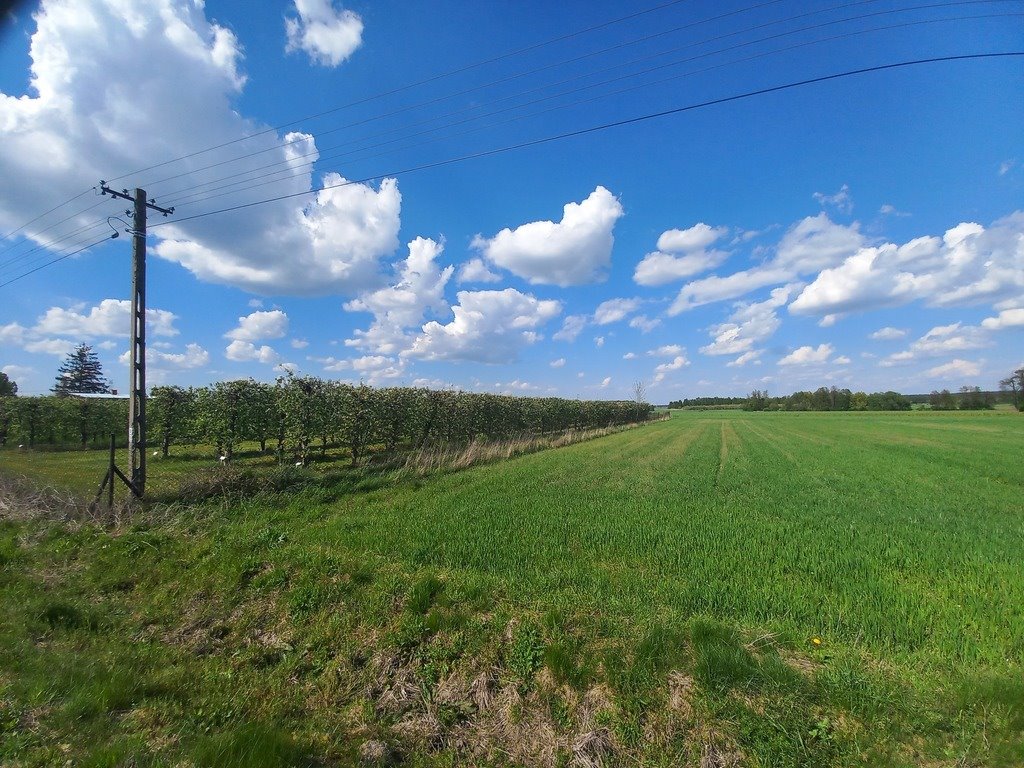 Działka budowlana na sprzedaż Albinów  1 017m2 Foto 7