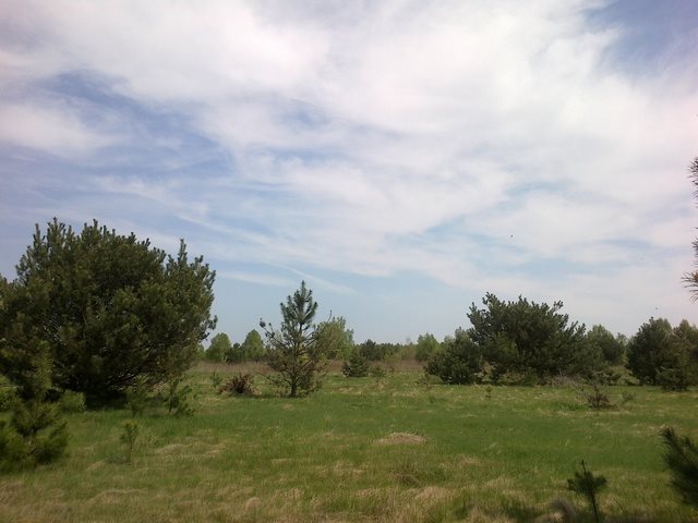 Działka rolna pod rekreację z widokiem na KPN, 2400 m² Wojcieszyn, Trakt Królewski  2 400m2 Foto 1