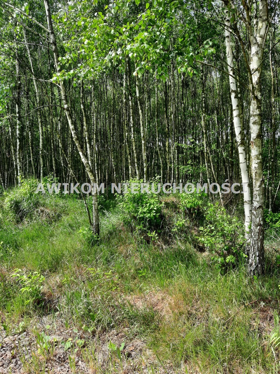 Działka rolna na sprzedaż Puszcza Mariańska, Wycześniak  3 289m2 Foto 8