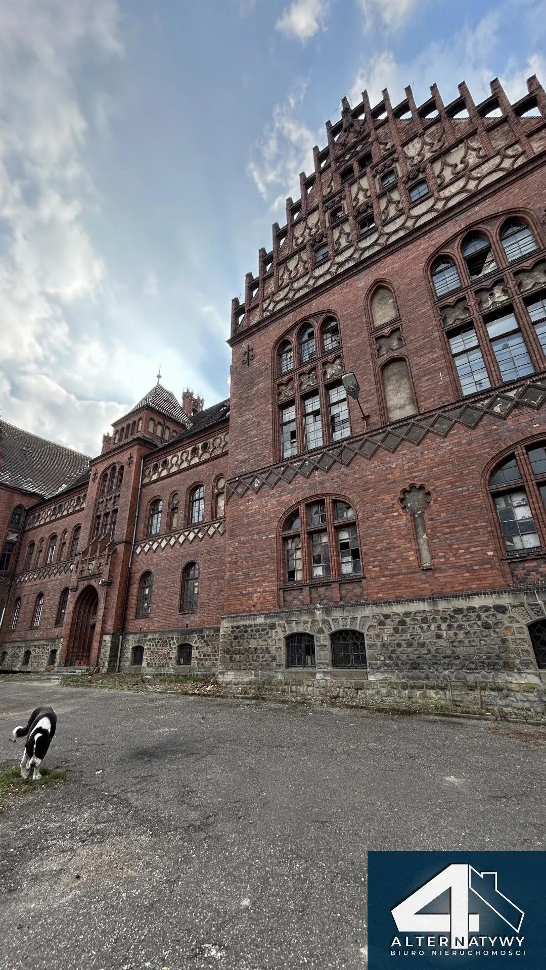 Lokal użytkowy na sprzedaż Pszczyna, dr Antesa 4  9 042m2 Foto 25