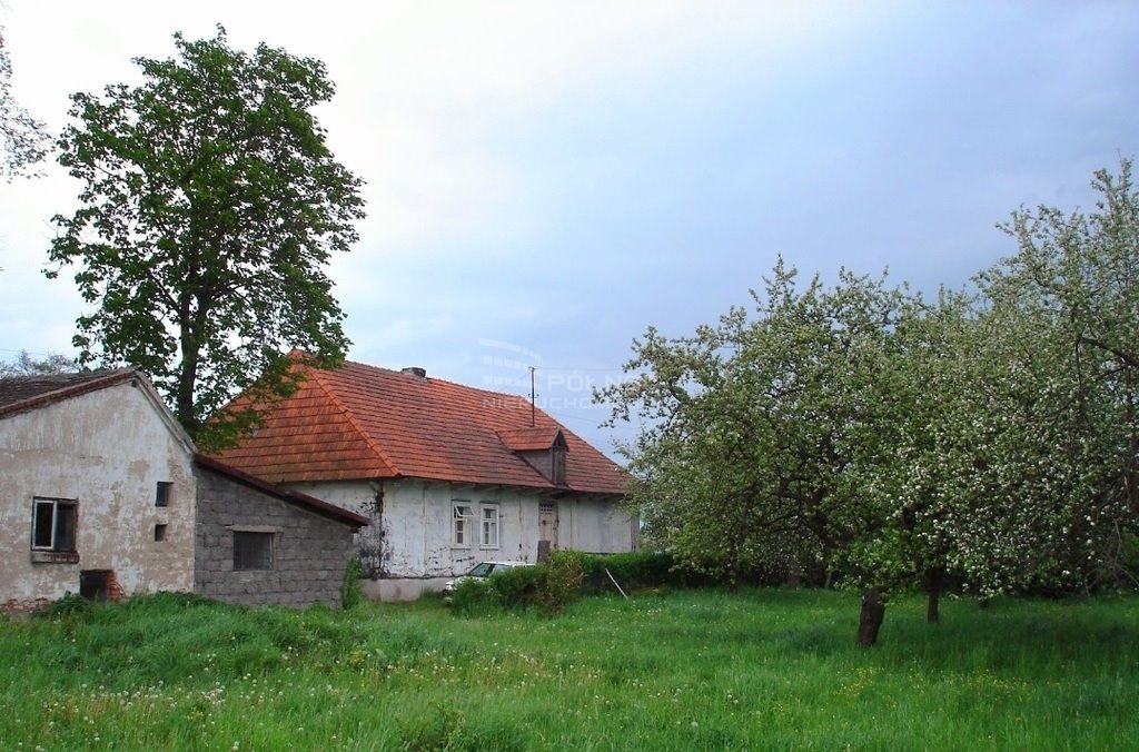 Działka budowlana na sprzedaż Grobla  3 699m2 Foto 2