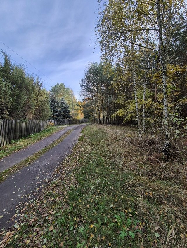 Do sprzedania działka 3756 m² z warunkami zabudowy w Gucinie Gucin  3 756m2 Foto 1