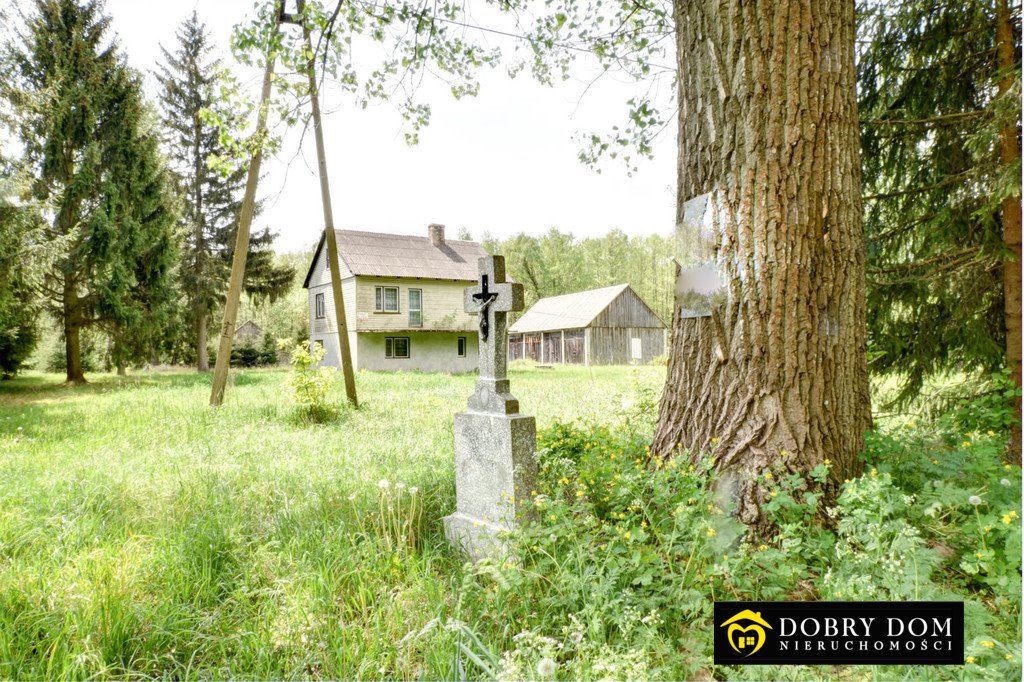 Siedlisko 33ha z domem do remontu, lasy i pastwiska Sasiny  120m2 Foto 1