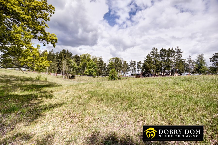 Działka rolna na sprzedaż Gawrych-Ruda  3 777m2 Foto 4