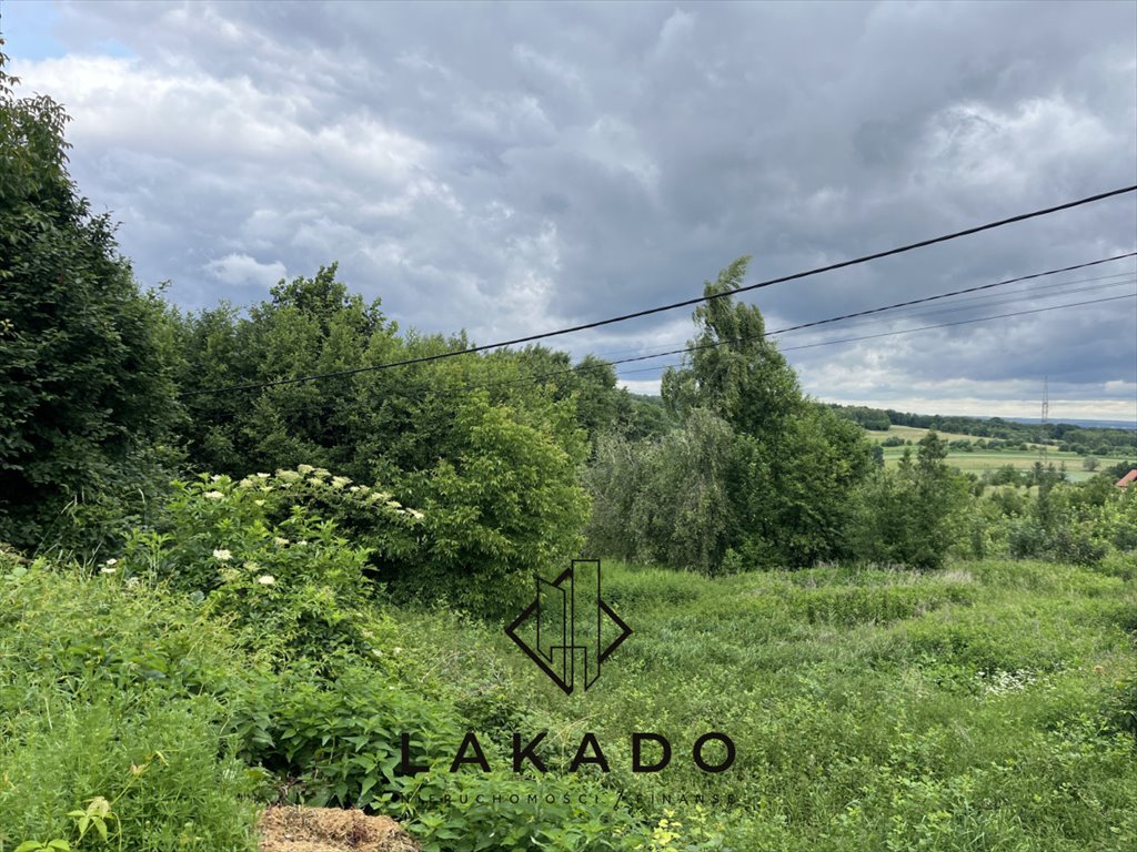 Działka budowlana na sprzedaż Lusina, Górska  3 200m2 Foto 1