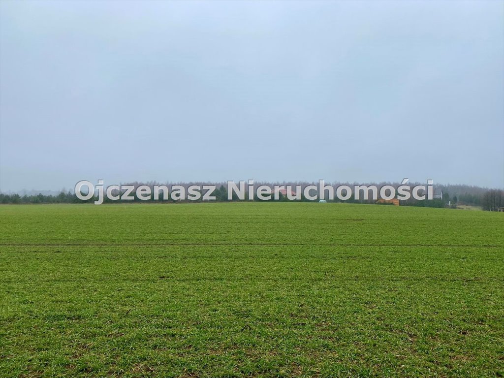 Działka inwestycyjna 1,57 ha z mediami i MPZP Gliszcz  15 702m2 Foto 1