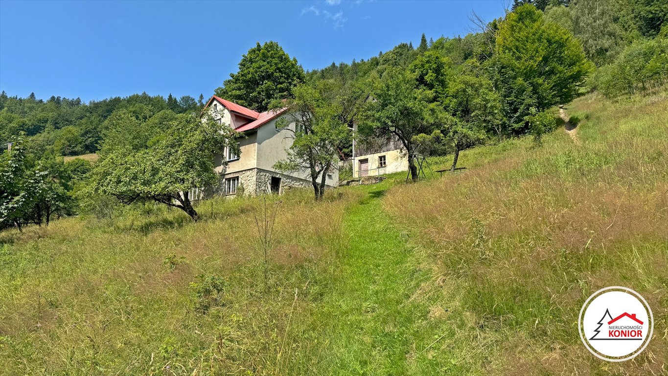 Działka inwestycyjna na sprzedaż Szczyrk, Salmopol, Wiślańska  45 000m2 Foto 7