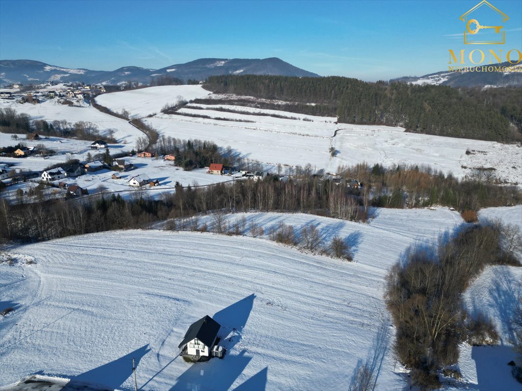 Działka budowlana na sprzedaż Krasne Potockie  4 200m2 Foto 12