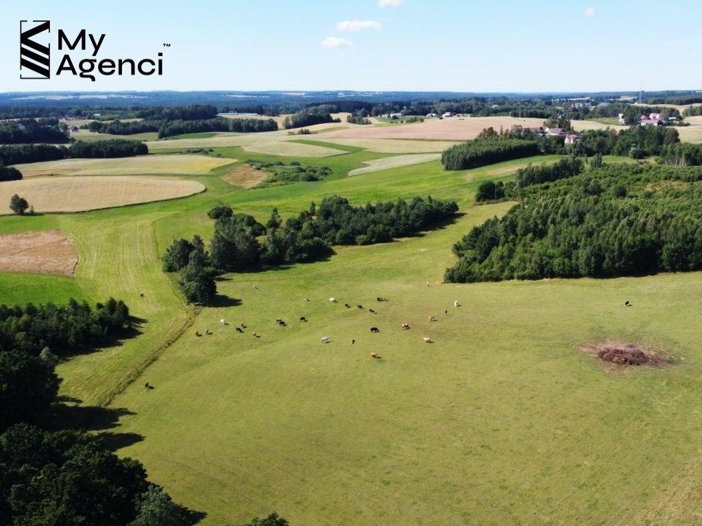 Działka budowlana na sprzedaż Łebno, Kartuska  1 003m2 Foto 19