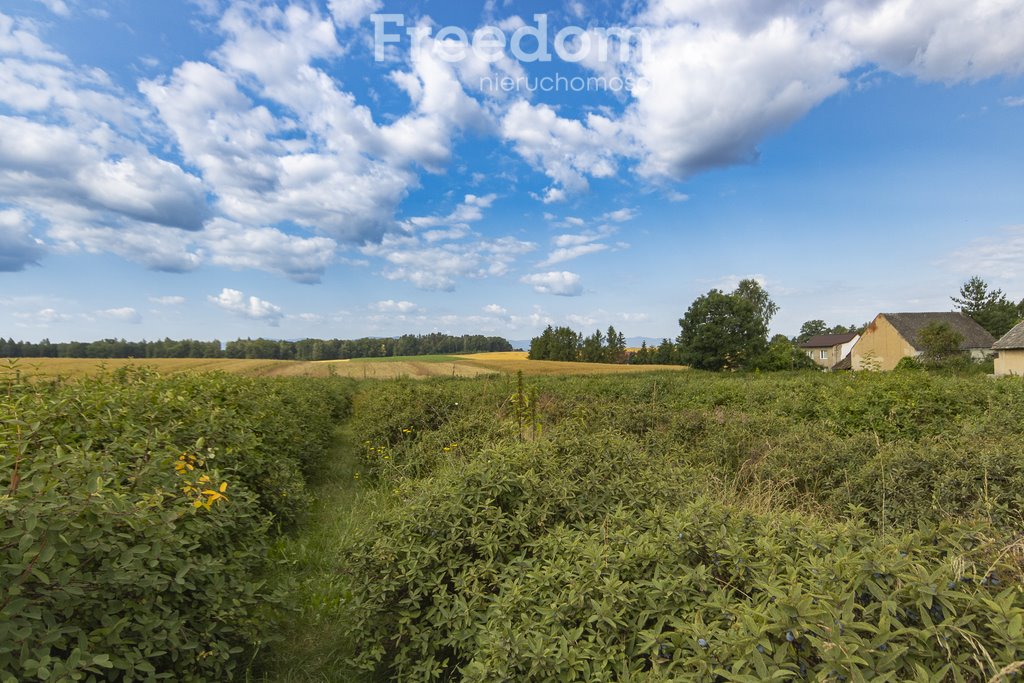 Działka siedliskowa na sprzedaż Sucha Kamienica  13 559m2 Foto 4