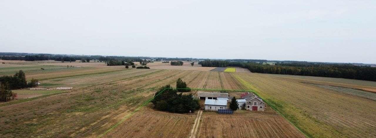 Działka budowlana na sprzedaż Staroźreby  15 900m2 Foto 3