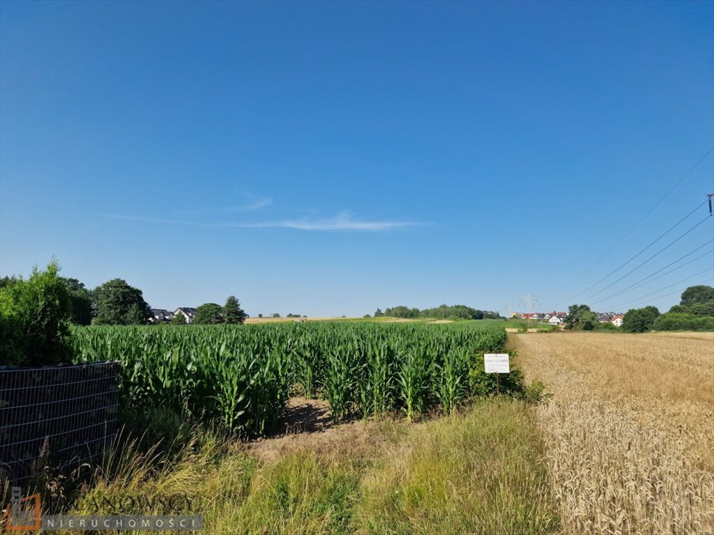 Działka budowlana na sprzedaż Bibice  10 060m2 Foto 2