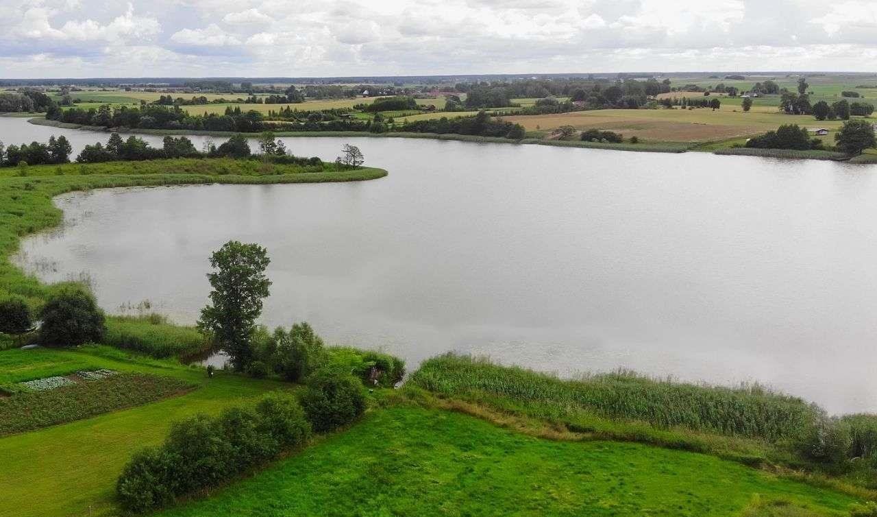 Działka rolna na sprzedaż Długochorzele  3 000m2 Foto 1