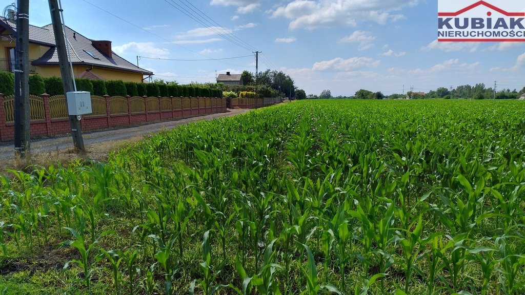 Działka budowlana na sprzedaż Żaby  15 207m2 Foto 3