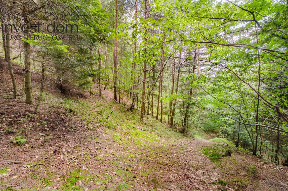 Działka leśna na sprzedaż Szerzyny  11 300m2 Foto 8