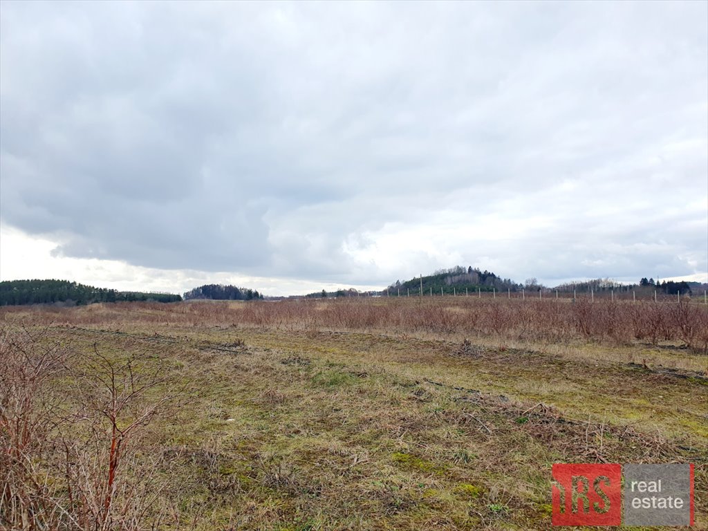 Działka budowlana na sprzedaż Chruściele  3 149m2 Foto 12