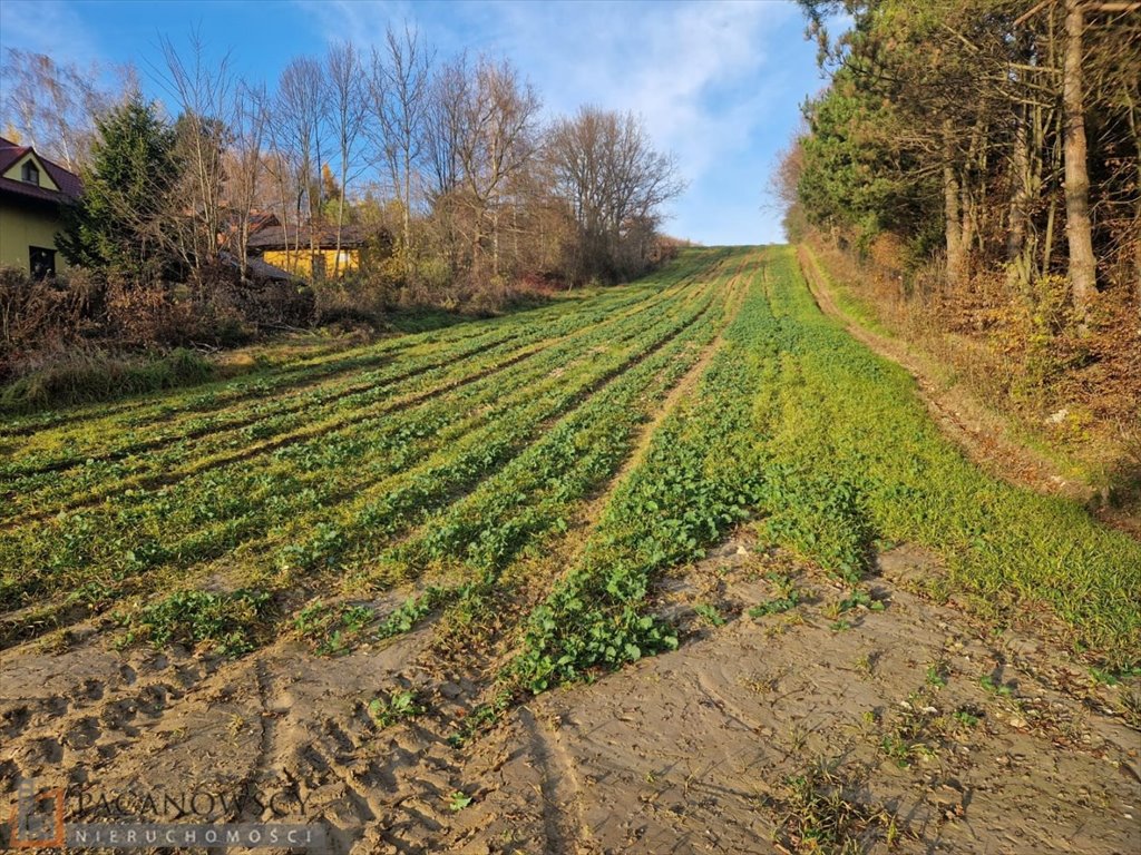 Działka budowlana na sprzedaż Maszków  1 000m2 Foto 1