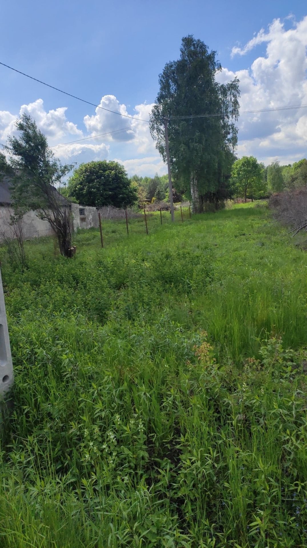Działka rolna 1,5 ha z mediami i dojazdem asfaltowym Ustanów  15 000m2 Foto 1