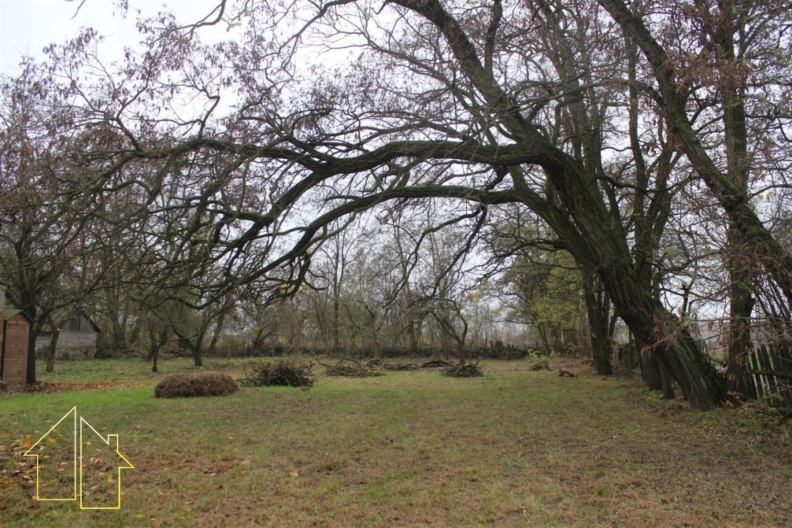 Działki budowlane z mediami i zielenią - 1,5 ha Gąbin, Kielniki  3 000m2 Foto 1