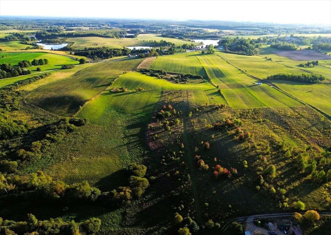 Działka rolna na sprzedaż Grom  3 006m2 Foto 5