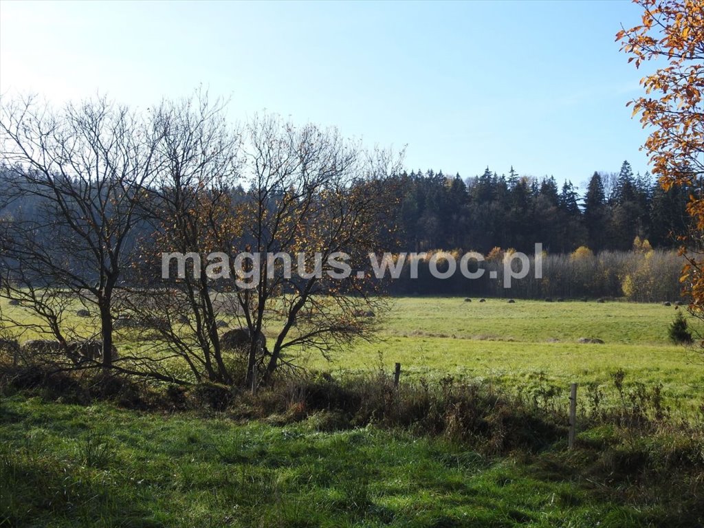 Działka budowlana na sprzedaż Boguszów-Gorce, Stary Lesieniec, Św. Barbary  1 000m2 Foto 1
