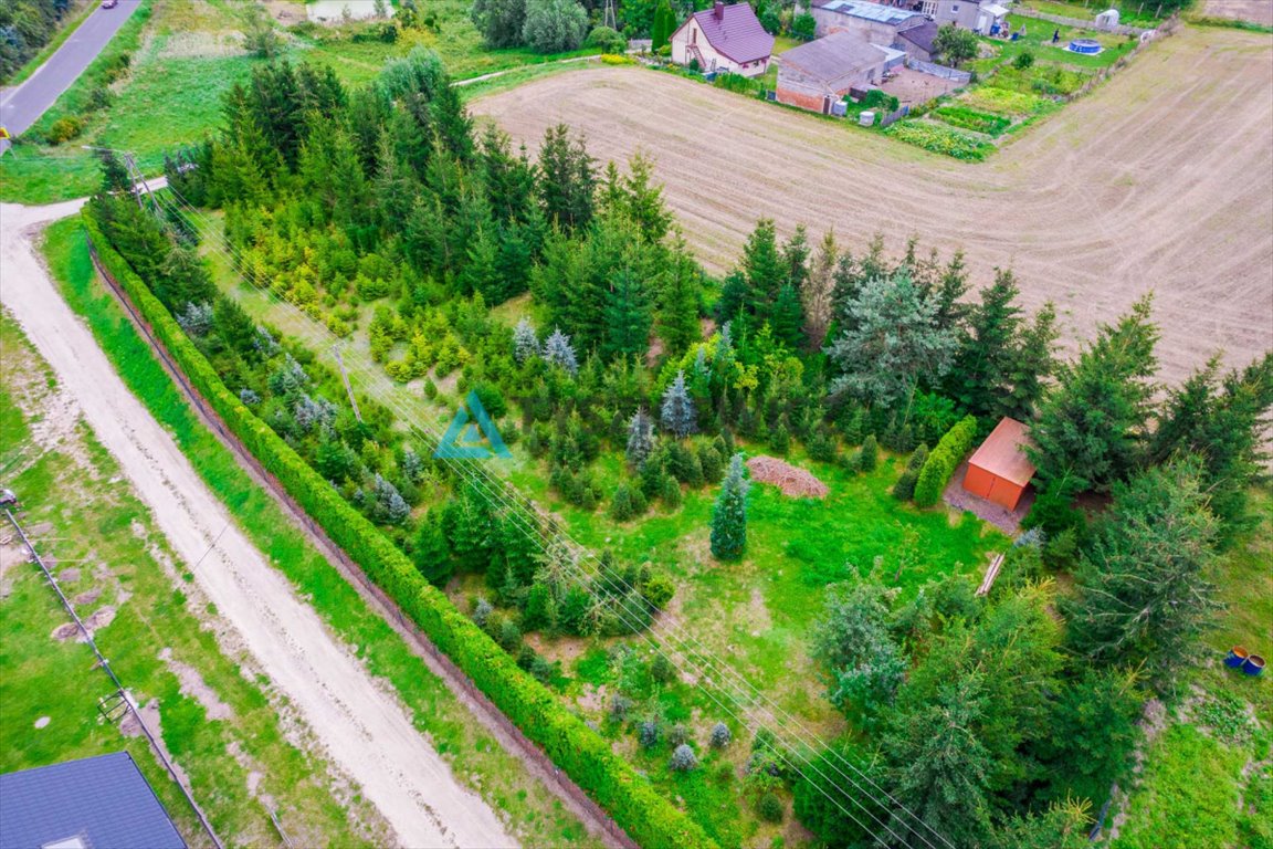 Działka budowlana na sprzedaż Włościbórz  3 000m2 Foto 8