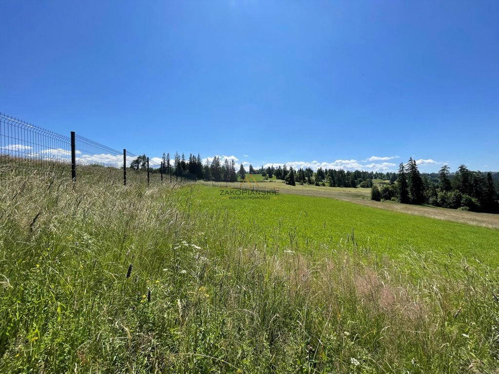 Działka inna na sprzedaż Biały Dunajec  3 000m2 Foto 2