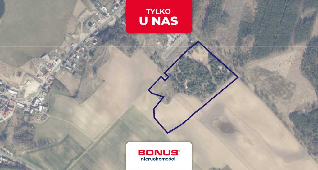 Polecam dużą działkę 66 060 m² w Krajniku Dolnym Krajnik Dolny  66 060m2 Foto 1