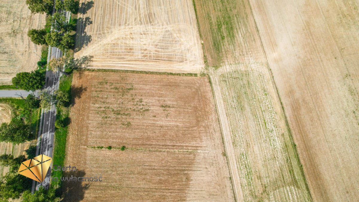 Działka budowlana na sprzedaż Krasienin-Kolonia  3 500m2 Foto 3