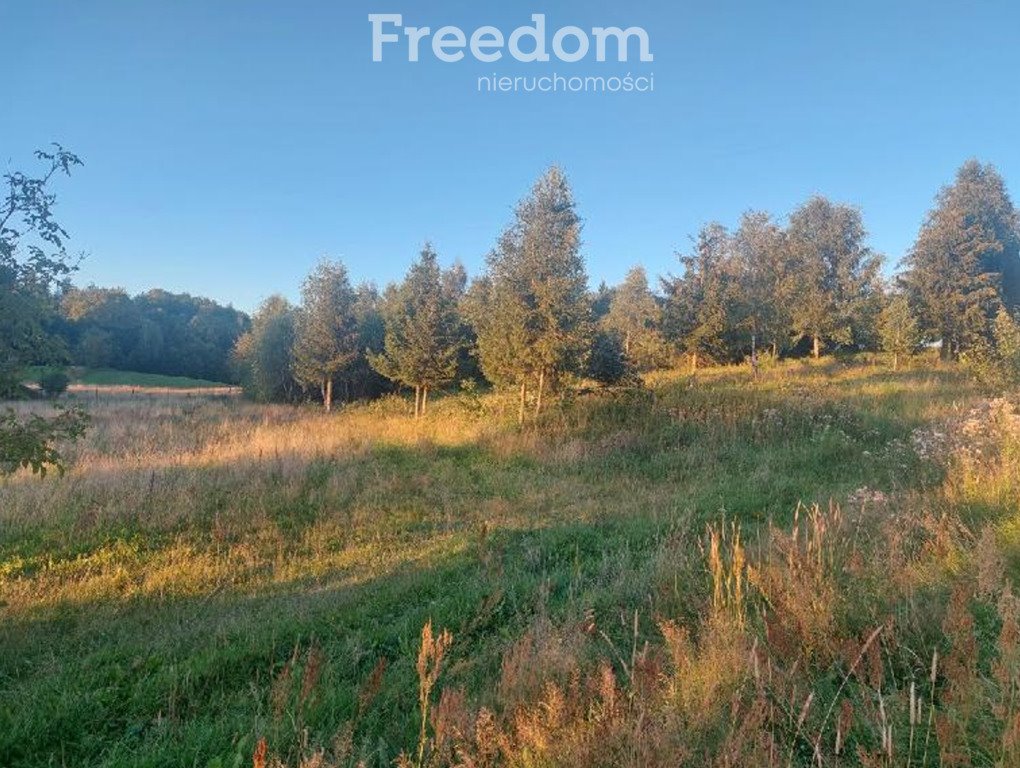 Działka budowlana na sprzedaż Klonowo Górne, Świerkowa  3 987m2 Foto 16