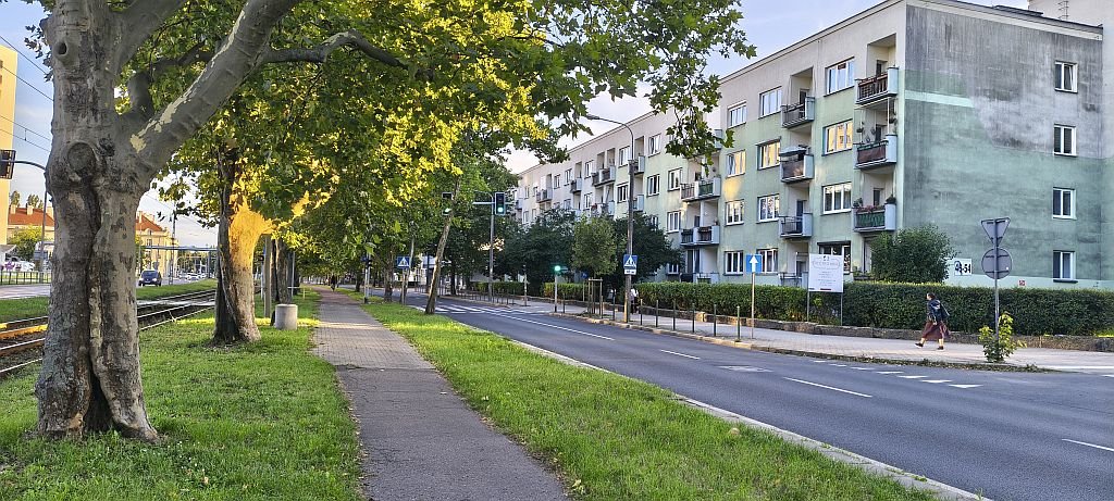 Polecam przestronne 2-pokojowe mieszkanie z dużym potencjałem: Poznań Grunwald: Przybyszewskiego