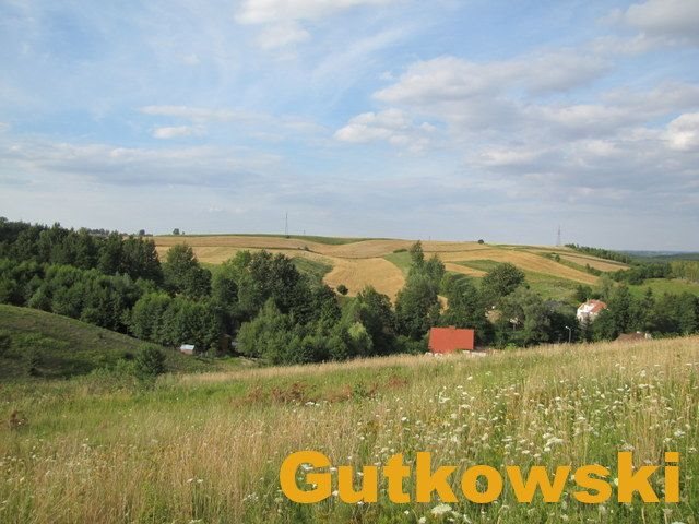 Działka rolna na sprzedaż Łąki Bratiańskie, Gmina Nowe Miasto Lubawskie  3 036m2 Foto 9