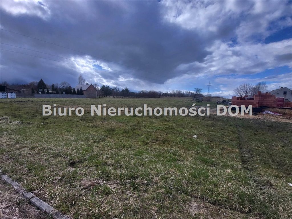 Zdjęcie 7