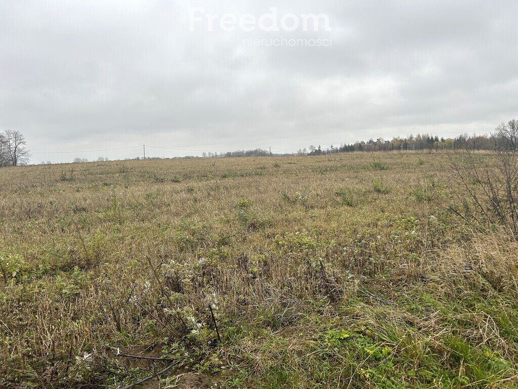 Działka inna na sprzedaż Karbowskie  3 037m2 Foto 6