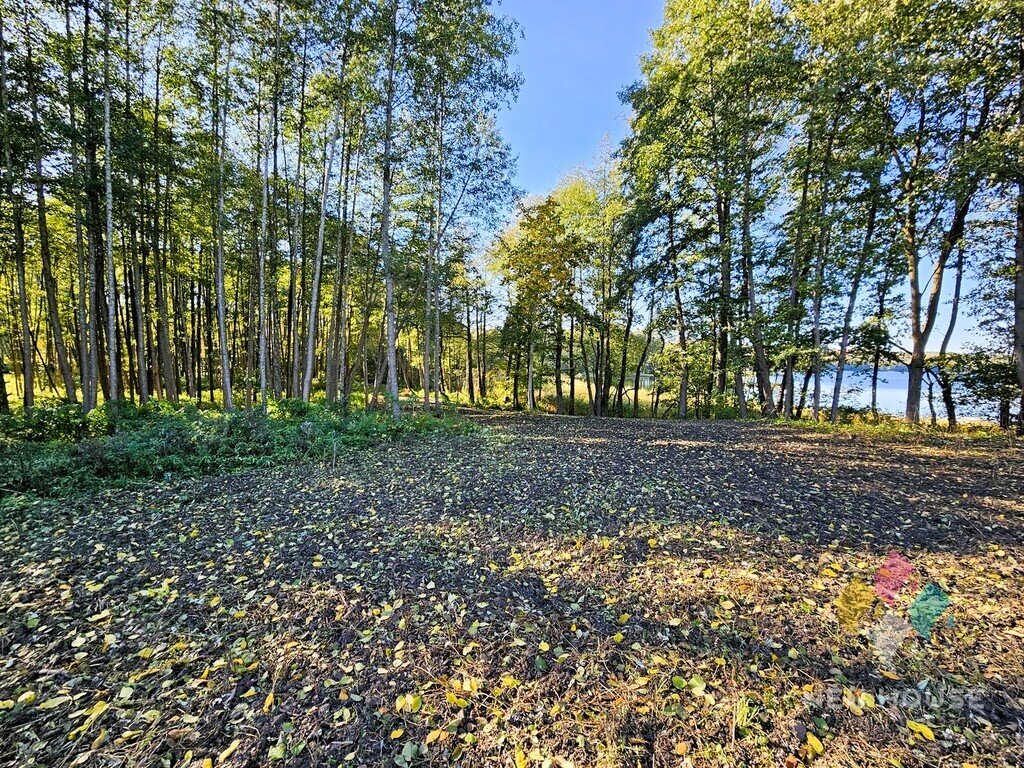 Działka siedliskowa na sprzedaż Cerkiewnik  15 220m2 Foto 5