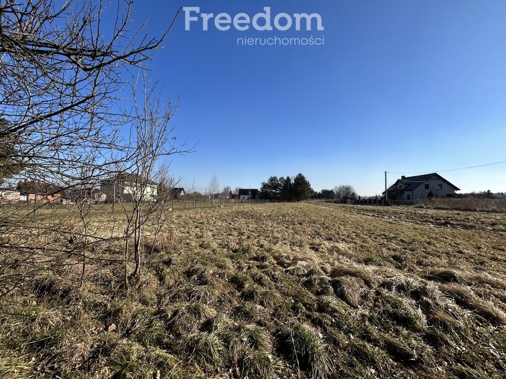 Działka rolna na sprzedaż Stawy Monowskie, Objazdowa  3 600m2 Foto 4