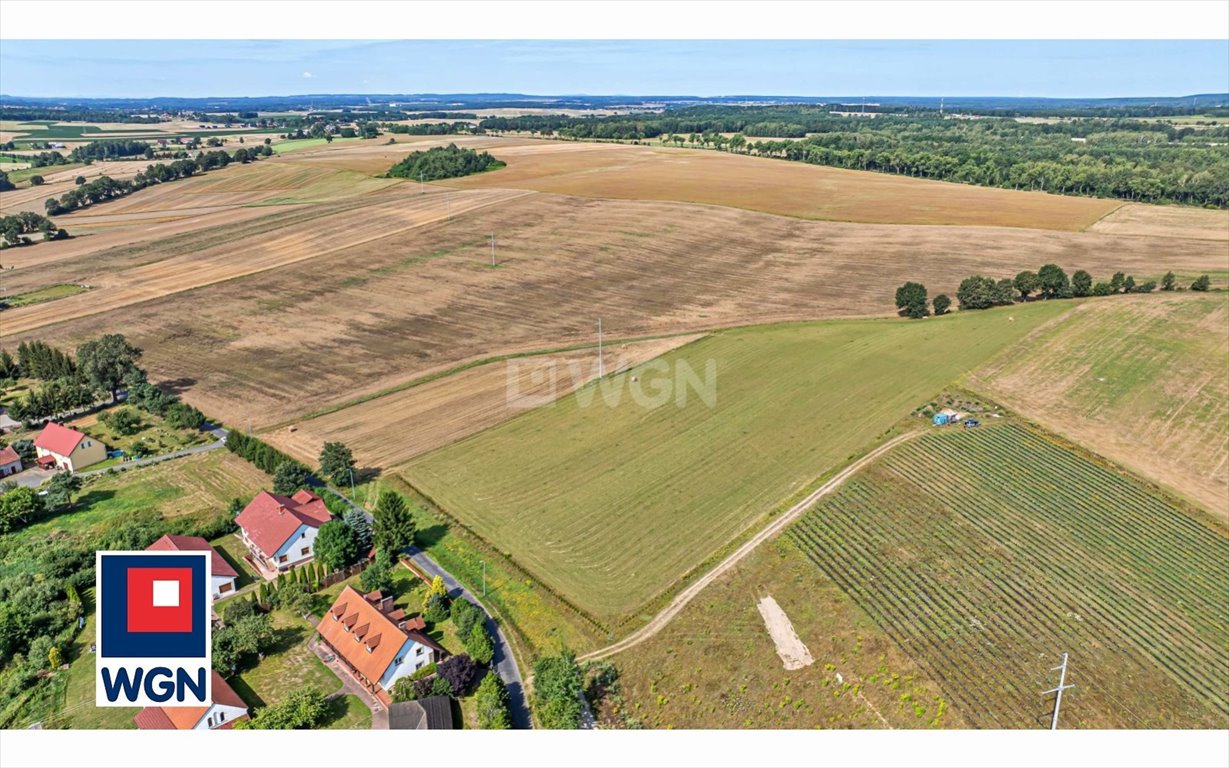 Działka budowlana na sprzedaż Mierzwin, Centrum  1 329m2 Foto 3