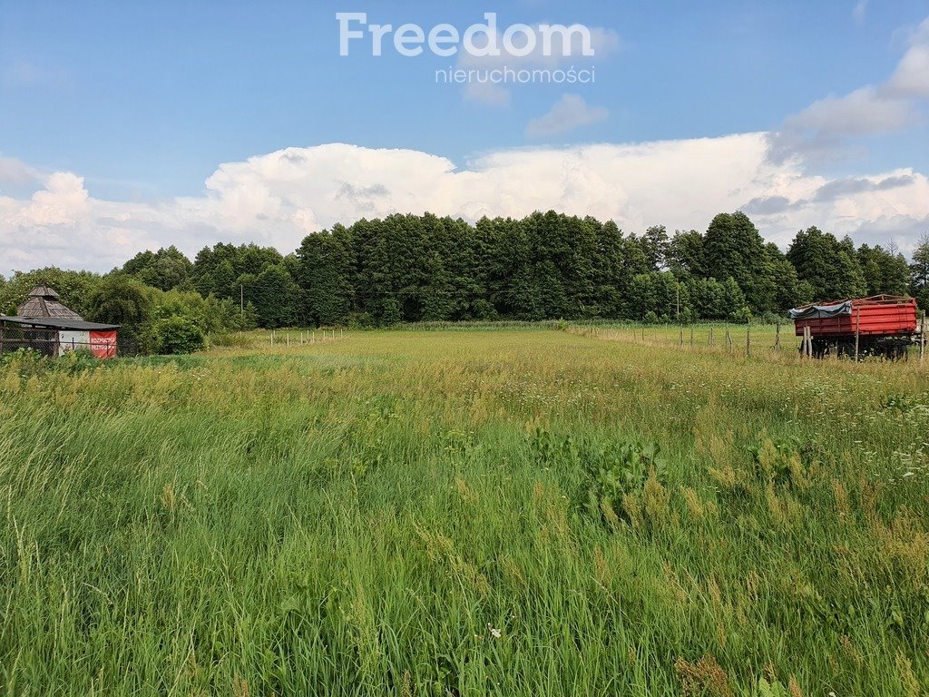 Działka budowlana na sprzedaż Michałki  5 367m2 Foto 7