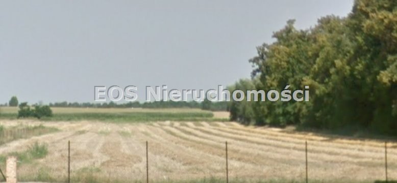 Działka inna na sprzedaż Szczutkowo  16 600m2 Foto 2