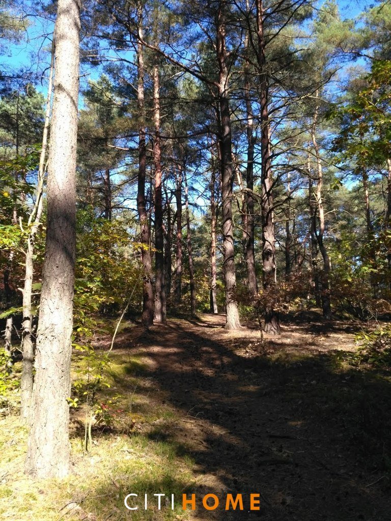 Działka leśna 2561 m² w Otwocku – idealna pod kapitał Otwock  2 561m2 Foto 1