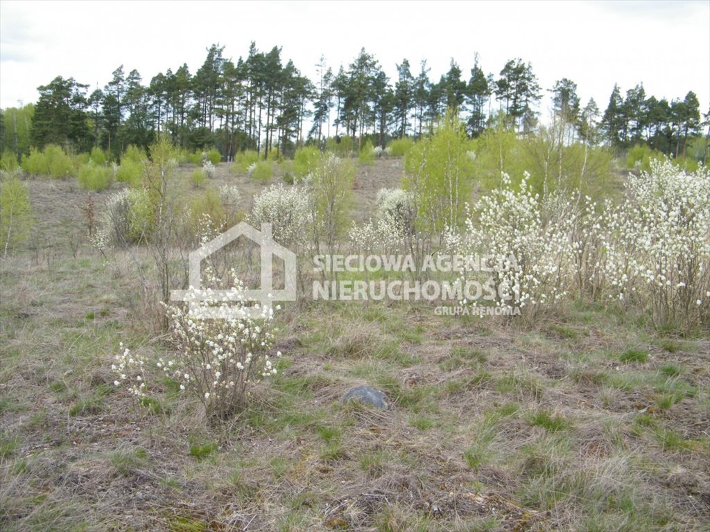 Działka leśna na sprzedaż Huta Kalna  20 250m2 Foto 9