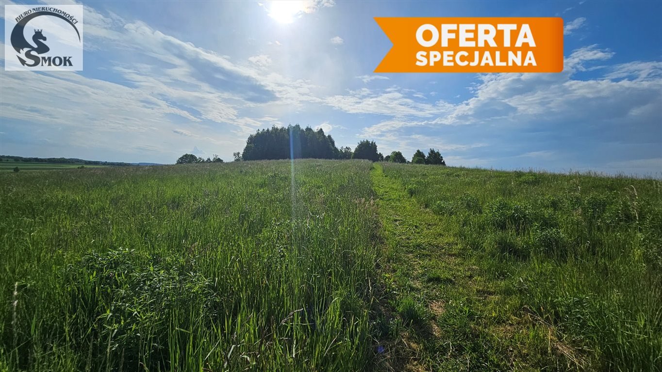 Widokowa działka 3,7 ha z terenem budowlanym i zielenią Jerzmanowice  3 700m2 Foto 1