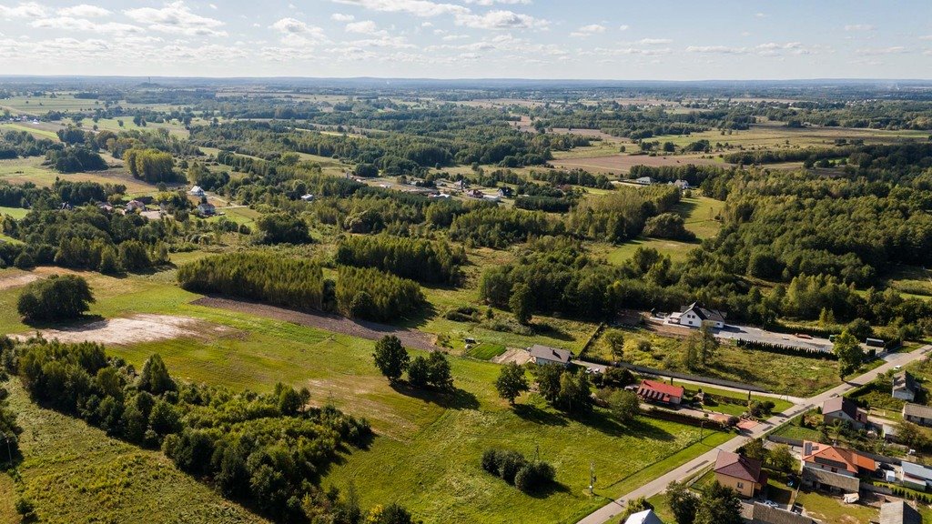 Działka inna na sprzedaż Romanów, Romanowska  18 900m2 Foto 6