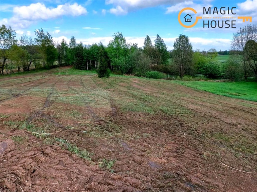 Działka rekreacyjna na sprzedaż Łyśniewo Sierakowickie  4 000m2 Foto 2