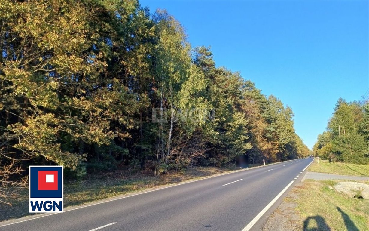 Działka leśna na sprzedaż Myszków, Nowa Wieś  1 959m2 Foto 3