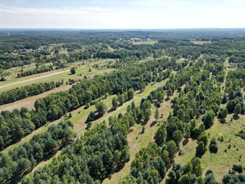 Działka budowlana na sprzedaż Konopiska, Jamki  24 582m2 Foto 3