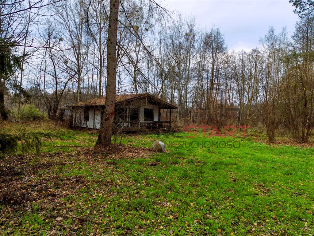 Działka 6053 m² z domkiem i lasem w Adamów-Wieś Adamów-Wieś  6 053m2 Foto 1