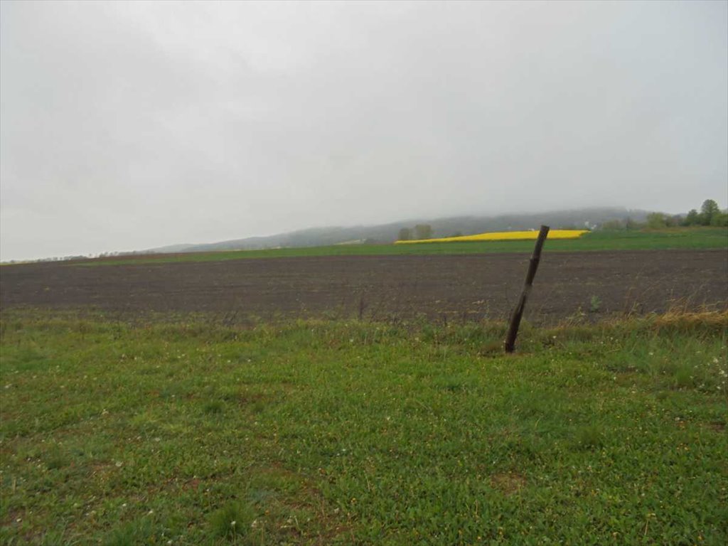 Działka inna na sprzedaż Dzierżoniów, Tuszyn  4 000m2 Foto 1