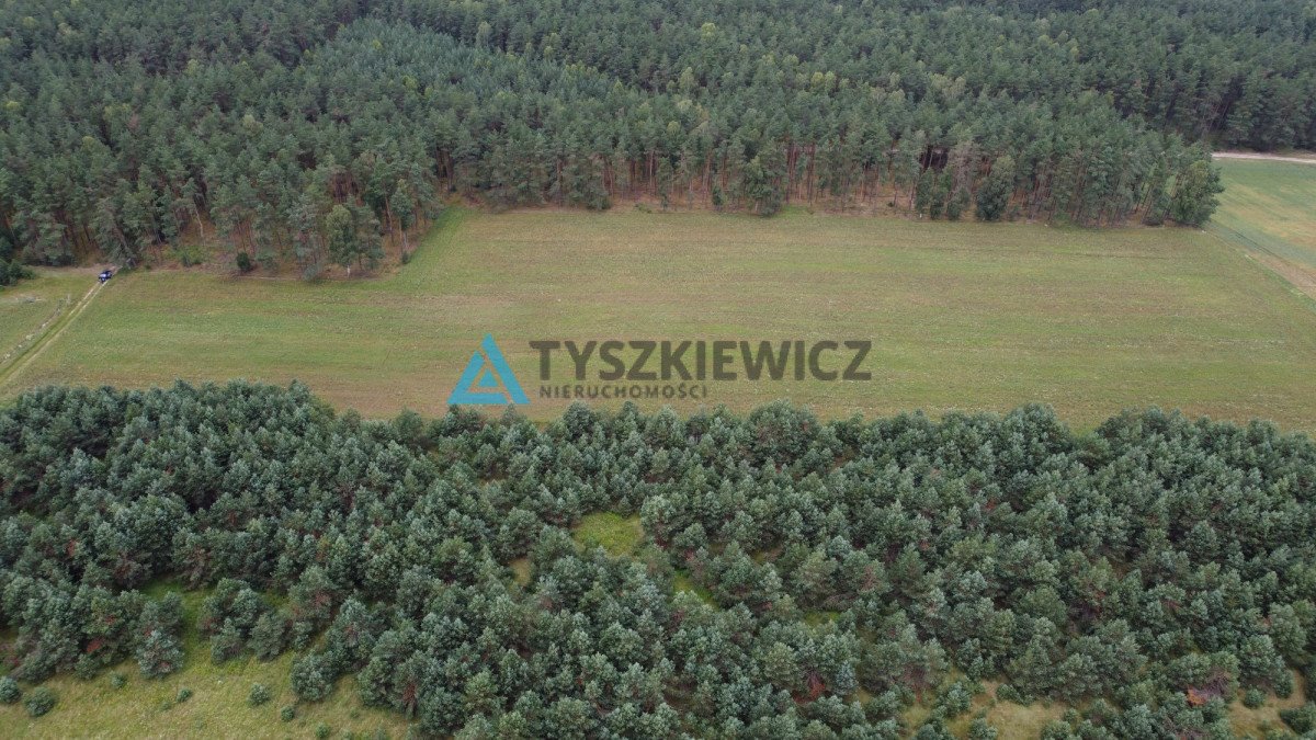 Działka rolna na sprzedaż Brzezinka  35 700m2 Foto 11